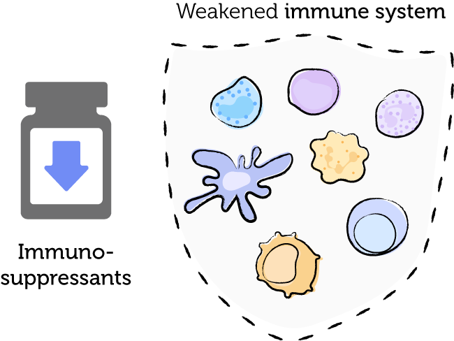 Drawing of a vial of immunosuppressants  next to weakened immune system cells.